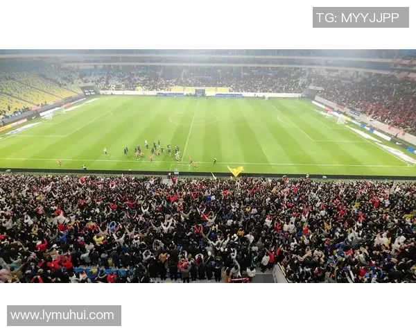 成都足球队在世界杯积分榜上以63分稳居第一名展现强劲实力